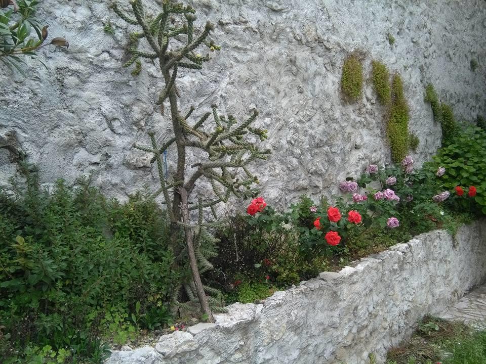 Little Rock Apartments Mostar Extérieur photo